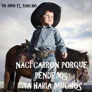 Meet your Posher, Cesar